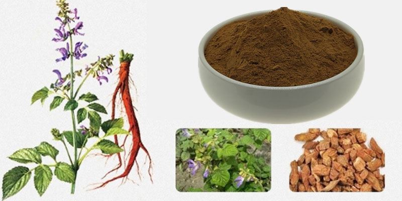 Salvia Miltiorrhiza Extract1