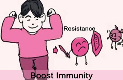 alisma extract powder enhances resistance alisma extract powder enhances resistance