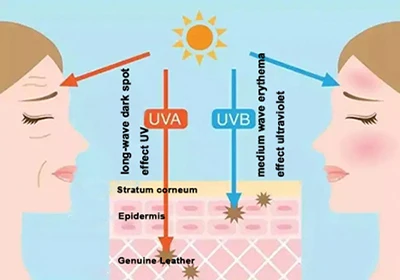 Avobenzone Powder UV Resistant Avobenzone Powder UV Resistant